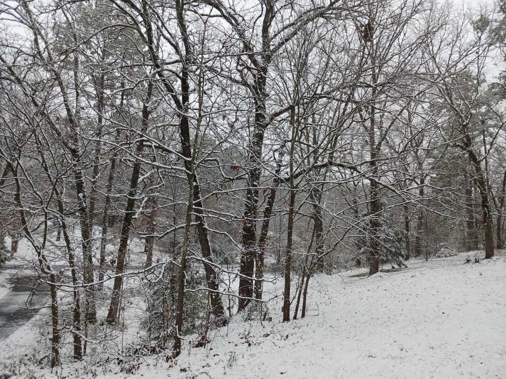 Photo by Chris Reimers